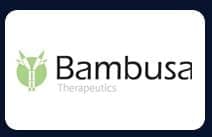 Bambusa