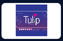 tulip