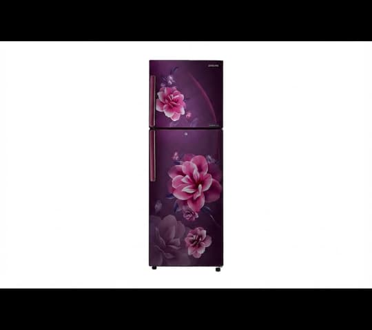 Samsung Double Door Refrigerator 253L RT28C3221CR | Frost Free Digital Inverter