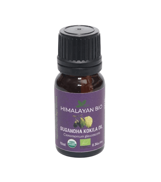 Himalayan Bio Sugandha Kokila Essential Oil 10ml | Natural Herbal Oil for Joint Pain, Arthritis, Muscle Pain, Headache & Stress Relief