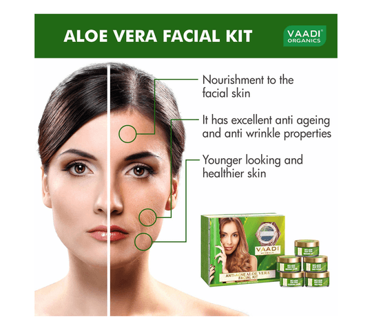 Vaadi Organics Vaadi Organics - Anti-Acne Aloe Vera Facial Kit with Green Tea Extract (270 gms) - VH0079 daily essentials &… — thumbnail 2 of 2