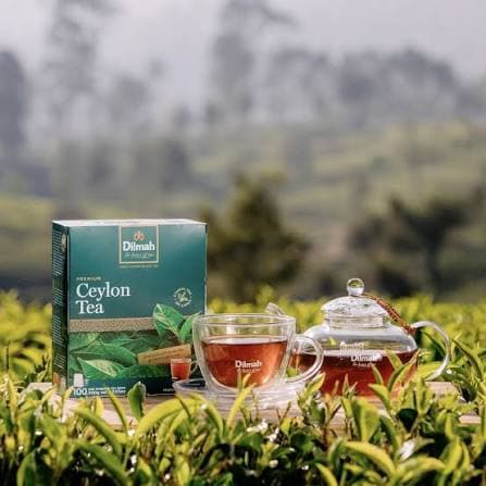 Dilmah Dilmah Premium Ceylon Tea – 100 Tea Bags daily essentials & lifestyle — thumbnail 5 of 6