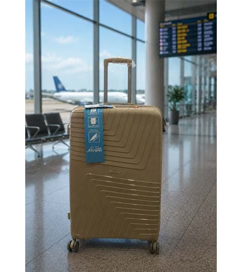 Holiday Beige 28 Inch Large Check-in Suitcase