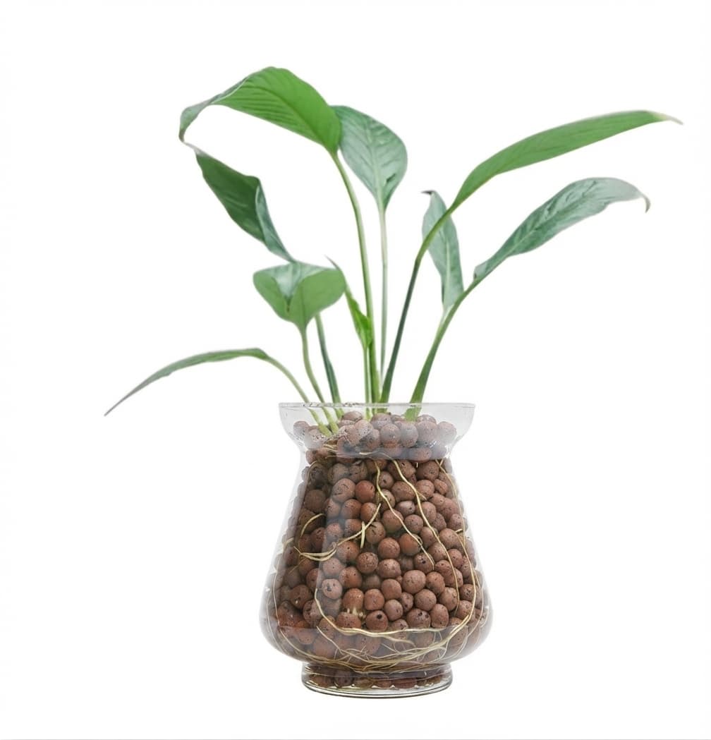1 Kg Leca Clay Pebbles for Plants, Expanded Leca Balls (4-16mm) daily essentials & lifestyle — thumbnail 3 of 3