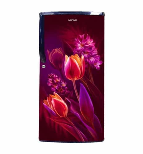 Sensei - 210 Liter Single Door Refrigerator – Energy Efficient Home Fridge - SRF220PW03