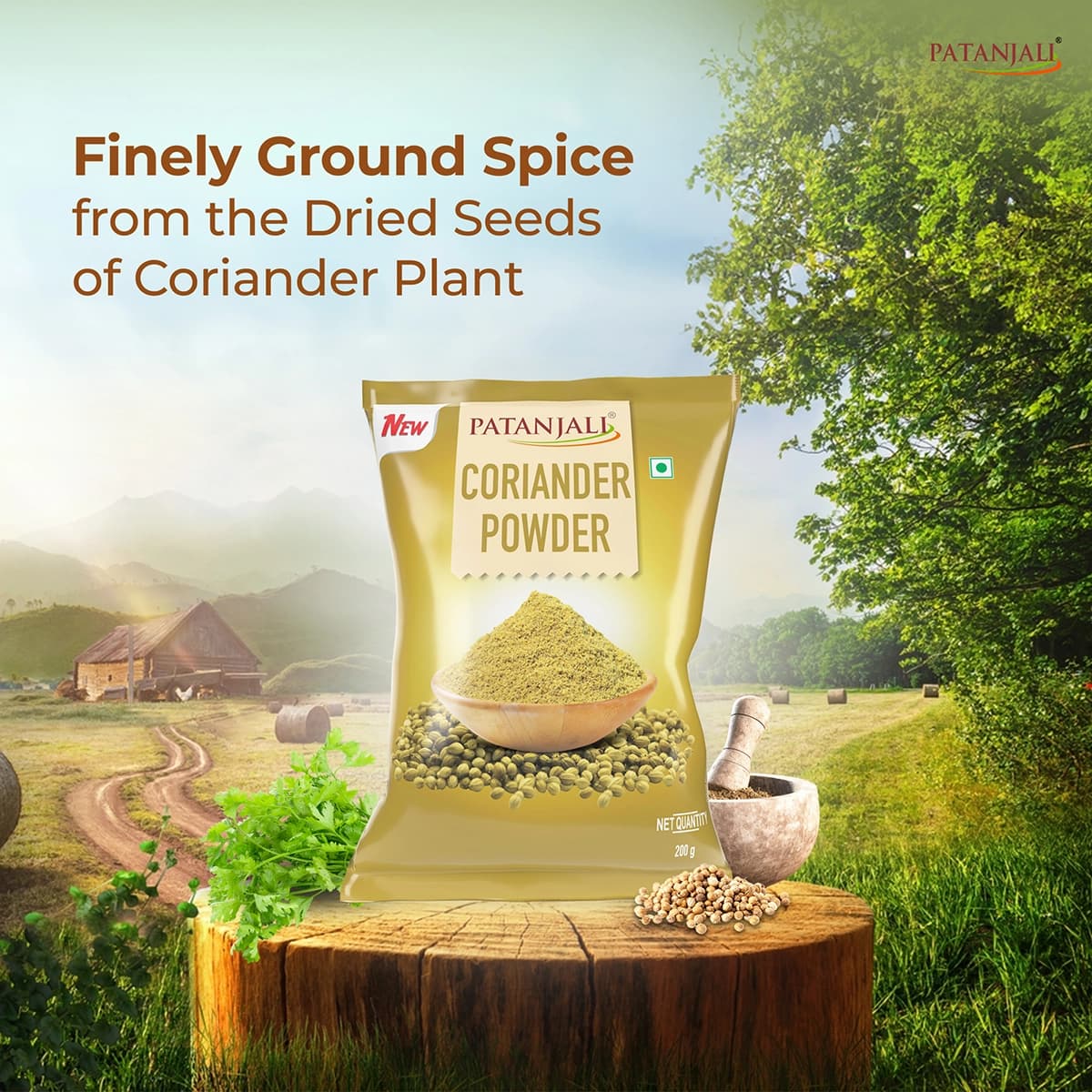 Patanjali Patanjali Coriander Powder 200gm | Pure & Aromatic Dhaniya Powder daily essentials & lifestyle — thumbnail 5 of 7