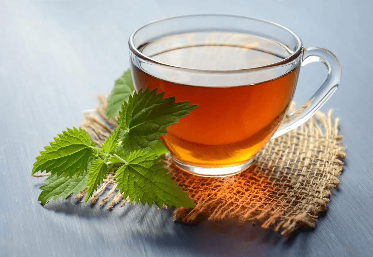Dilmah Dilmah Green Tea with Cinnamon  Tea – 20 Tea Bags | Premium Ceylon Green Tea daily essentials & lifestyle — thumbnail 6 of 7