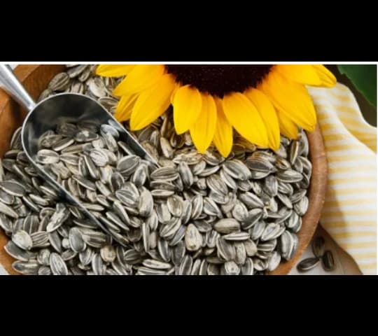 Premium Sunflower Seed Bird Food 1kg | Healthy Nutrition for Pet & Wild Birds daily essentials & lifestyle — thumbnail 2 of 2
