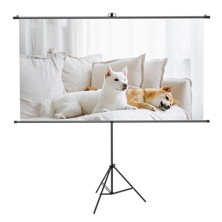 Deli ​​ES902 84 Inch Bracket Projector Screen
