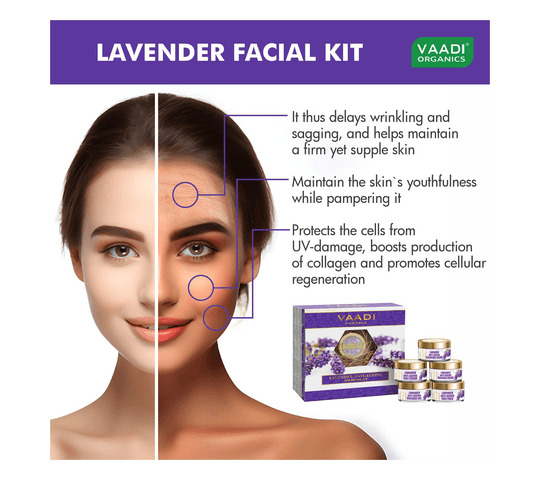 Vaadi Organics Vaadi Organics - Lavender Anti-Ageing SPA Facial Kit with Rosemary Extract (270 gms) - VH0153 daily… — thumbnail 2 of 2