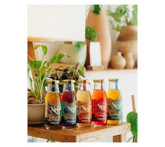 Makalu Foods And Beverages Makalu  Shilajit Kombucha 300ml | Natural Energy Drink daily essentials & lifestyle — thumbnail 3 of 4